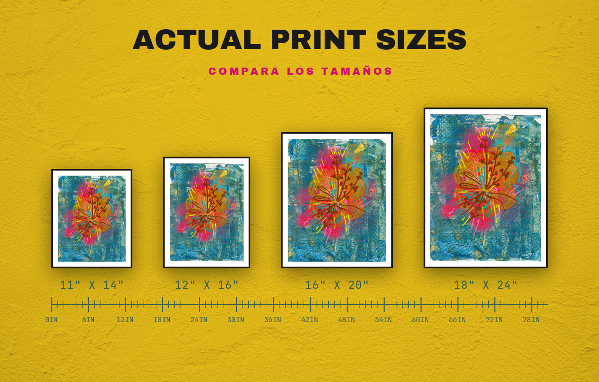 Branch — size chart