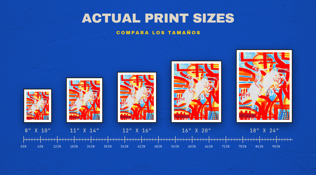 The Bullrider — size chart